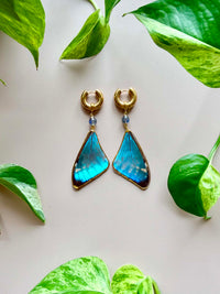 Real Morpho Zephyritis butterfly Butterfly Wing Earrings with Labradorite