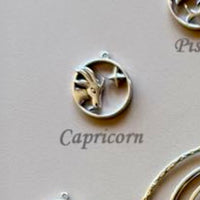 Sterling Silver Zodiac Signs