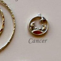 Sterling Silver Zodiac Signs