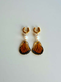 Real Monarch Butterfly Wing Earrings with Edison Pearls