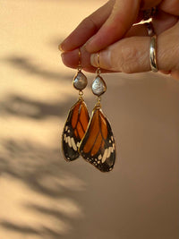 Real Monarch Butterfly Wing Earrings with Freshwater Pearls