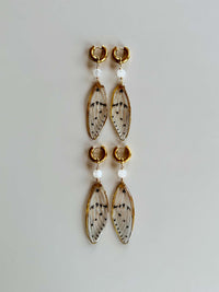 Real Ghost Cicada Wings with Moonstone