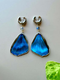 Real Morpho Didius Butterfly Wing Earrings with Labradorite