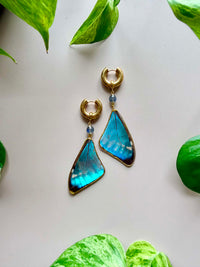 Real Morpho Zephyritis butterfly Butterfly Wing Earrings with Labradorite