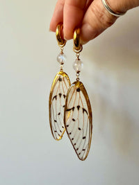Real Ghost Cicada Wings with Moonstone