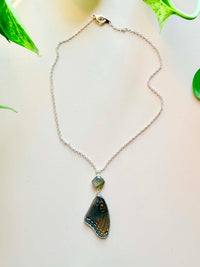 Real Limenitis Arthemis Butterfly Wing Necklace