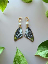 Real Delias Wilemani Butterfly Wings with Freshwater Pearls