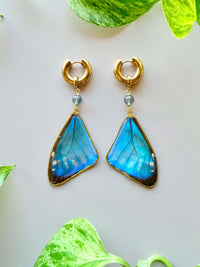 Real Morpho Zephyritis Butterfly Wing Earrings with Labradorite