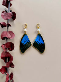 Real Papilio Ulysses Swallowtail Mountain Blue Butterfly Wing Earrings with Freshwater Pearl