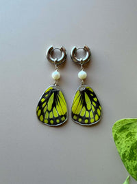 Real Delias Wilemani Butterfly Wings with Freshwater Pearls