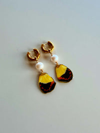 Real Timor Butterfly Wing Earrings with Edison Freshwater Pearls