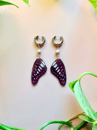 Real Jay Butterfly Wing Earrings with Silver-Toned Pearls