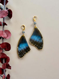 Real Morpho Peleides Butterfly Wing Earrings with Labradorite