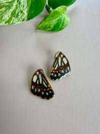 Real Butterfly Wing Stud Earrings (please read description)