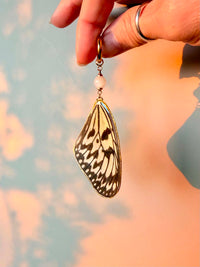 Real Paper Kite Butterfly Wing Earrings with Moonstone
