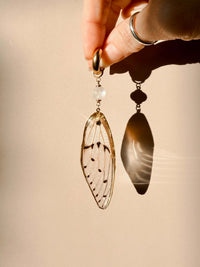 Real Ghost Cicada Wings with Moonstone