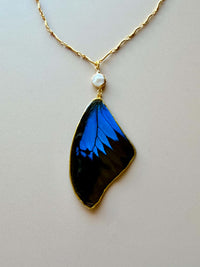Real Papilio Ulysses Swallowtail Mountain Blue Butterfly Wing Necklace