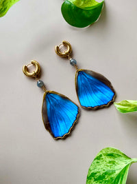 Real Morpho Didius Butterfly Wing Earrings with Labradorite