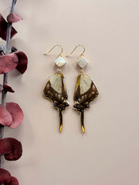 Real Serville's Swallowtail (Eurytides Serville) Butterfly Wing Earrings with Pearls