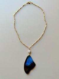 Real Papilio Ulysses Swallowtail Mountain Blue Butterfly Wing Necklace