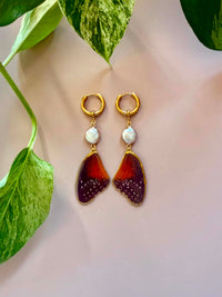 Real Red Lacewing Butterfly Wing Earrings with Freshwater Pearls