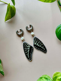 Real Papilio Xuthus Asian Swallowtail Butterfly Wing Earrings with Moonstone