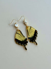 Real Tiger Swallowtail Butterfly Wing Earrings with Pearls