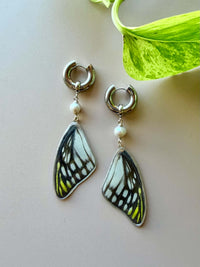 Real Delias Wilemani Butterfly Wings with Freshwater Pearls