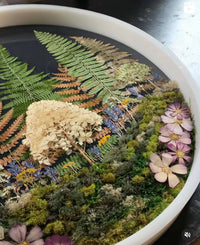 Frameless Preserved Botanical Wall Hanging