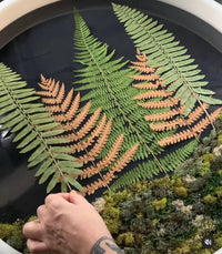 Frameless Preserved Botanical Wall Hanging