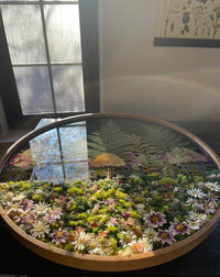 Preserved Botanical Wall Hanging