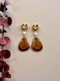 Real Monarch Butterfly Wing Earrings with Freshwater Pearls