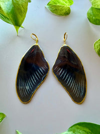 Real Papilio Deiphobus Swallowtail Butterfly Wing Earrings