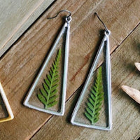 Ferns in Silver Triangles