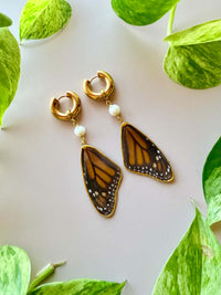 Real Monarch Butterfly Wing Earrings with Freshwater Pearls