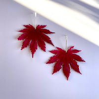 Real Japanese Maple Leaves with Gold Stem Studs