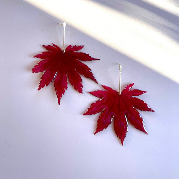 Real Japanese Maple Leaves with Gold Stem Studs