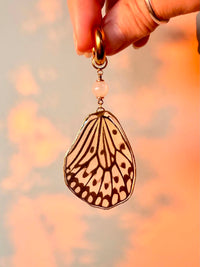 Real Paper Kite Butterfly Wing Earrings with Moonstone