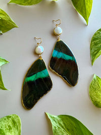 Real Papilio Blumei Peacock Swallowtail Butterfly Wing Earrings with Freshwater Pearls