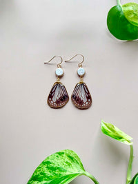Real Glassy Tiger Butterfly Wing Earrings with Freshwater Pearl