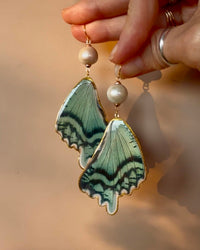 Real Alcides Orontes Moth Wing Earrings with Edison Freshwater Pearls