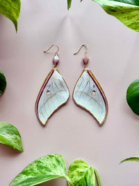 Real Luna Moth Wing Earrings with Pink Diamond Cut Pearls
