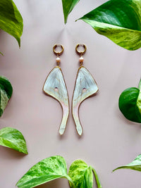 Real Luna Moth Wing Earrings with Pink Pearls