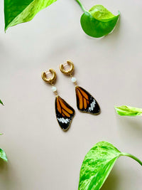 Real Monarch Butterfly Wing Earrings with Moonstone