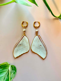 Real Luna Moth Wing Earrings with Pearls