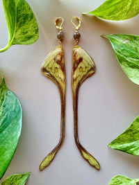 Real Silk Moth (Actias Maenas) Wing with Chocolate Moonstone