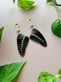 Real Butterfly Wing Earrings with Moonstone (please read description)