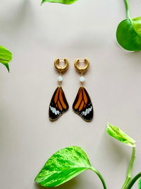 Real Monarch Butterfly Wing Earrings with Moonstone