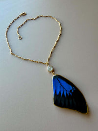 Real Papilio Ulysses Swallowtail Mountain Blue Butterfly Wing Necklace