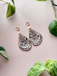 Real Paper Kite (Idea Leuconoe)  Butterfly Wing Earrings with Moonstone
